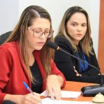 Vereadores analisam e aprovam projetos de lei na 5ª sessão ordinária do legislativo campo-alegrense