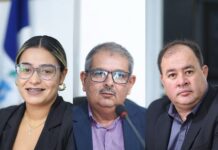 8ª sessão ordinária, pautas debates e decisões